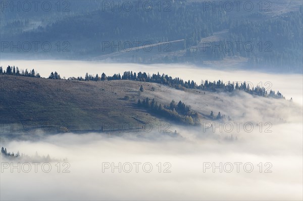 Ukraine, Zakarpattia region, Carpathians, Borzhava, Foggy hills of Carpathian Mountains at sunrise