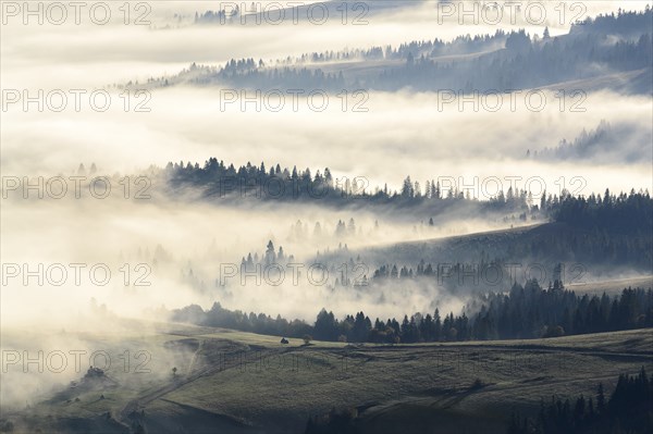 Ukraine, Zakarpattia region, Carpathians, Borzhava, Foggy hills of Carpathian Mountains at sunrise