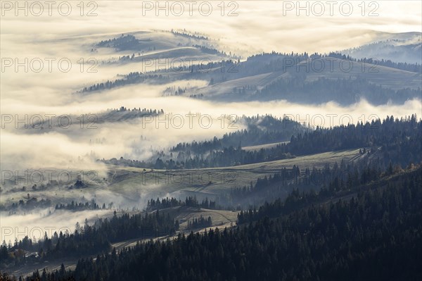 Ukraine, Zakarpattia region, Carpathians, Borzhava, Foggy hills of Carpathian Mountains at sunrise