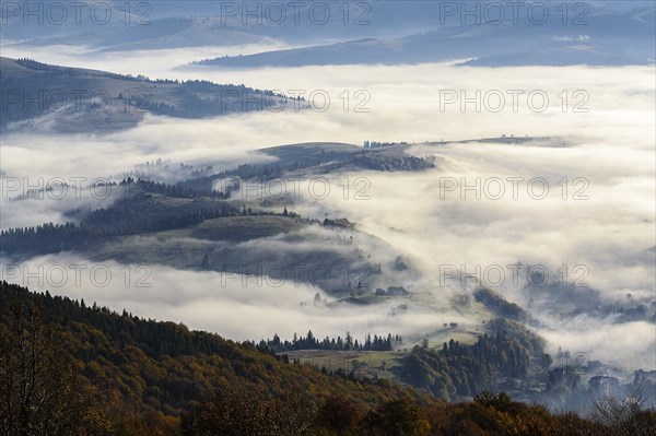 Ukraine, Zakarpattia region, Carpathians, Borzhava, Foggy hills of Carpathian Mountains at sunrise