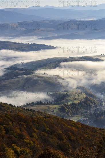 Ukraine, Zakarpattia region, Carpathians, Borzhava, Foggy hills of Carpathian Mountains at sunrise