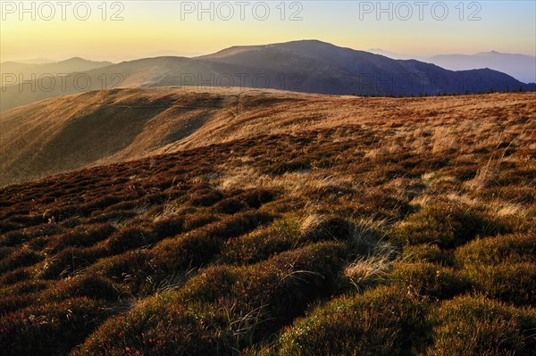 Ukraine, Zakarpattia region, Carpathians, Borzhava, Carpathian Mountains at sunset