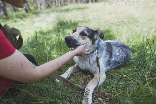 Young woman petting dog from animal shelter