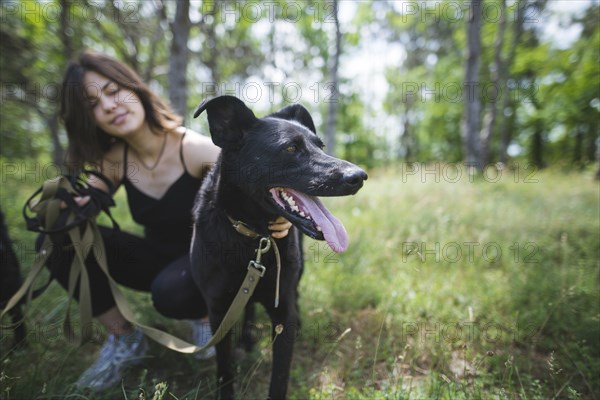 Young woman walking dogs from animal shelter in pine forest