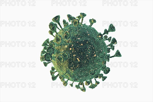 Digitally generated image of Coronavirus