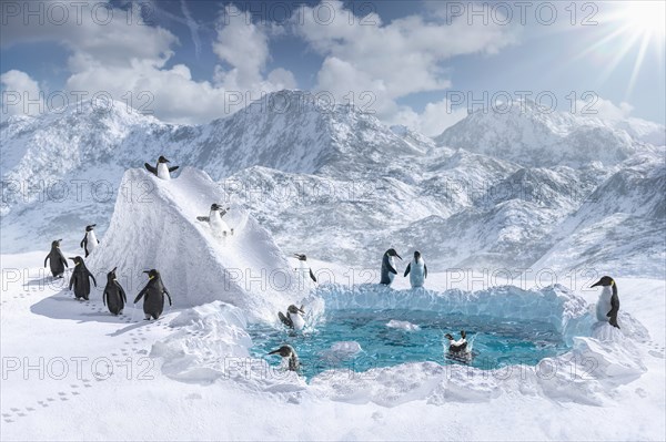 Penguins playing on slide and in pool