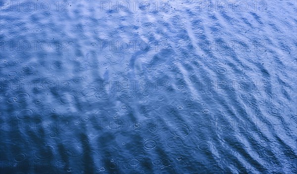 Ripples from rain drops in sea