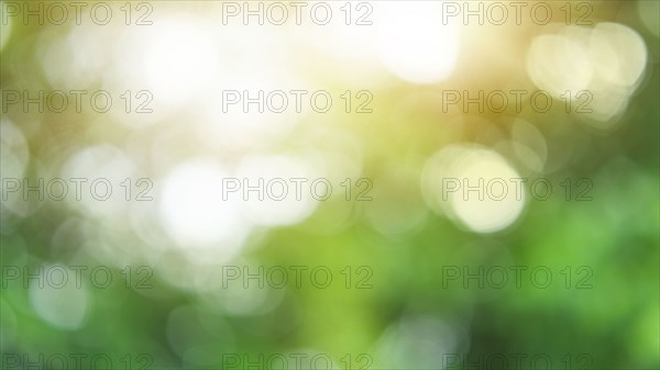 Green blurred image