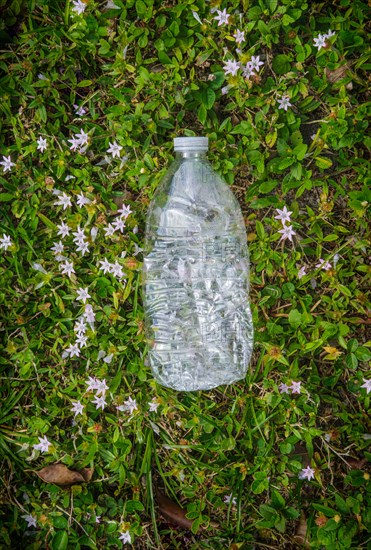 Plastic bottle on grass