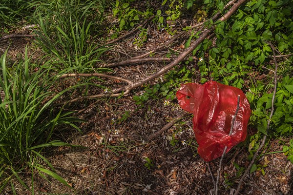 Red plastic bag on grass