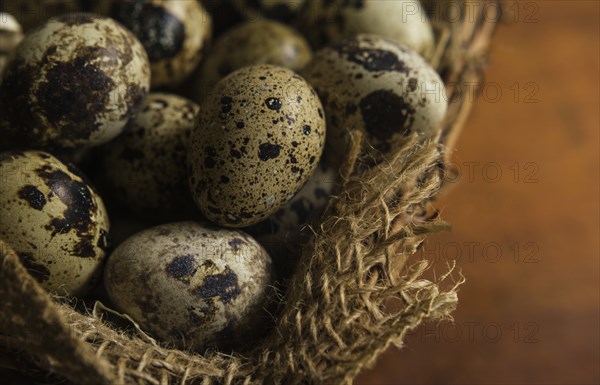 Bird eggs in basket