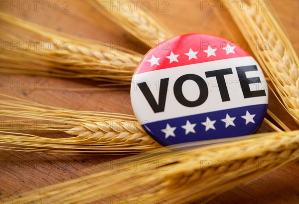 Vote button on wheat