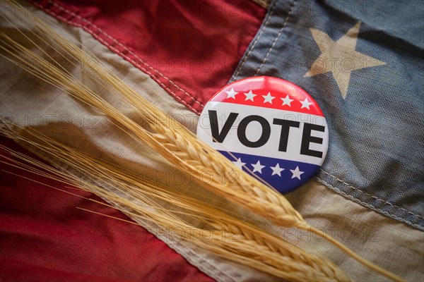 Vote button and wheat on American flag