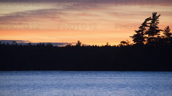 Silhouette of trees and lake at sunset