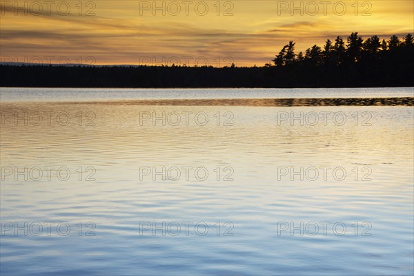 Silhouette of trees and lake at sunset