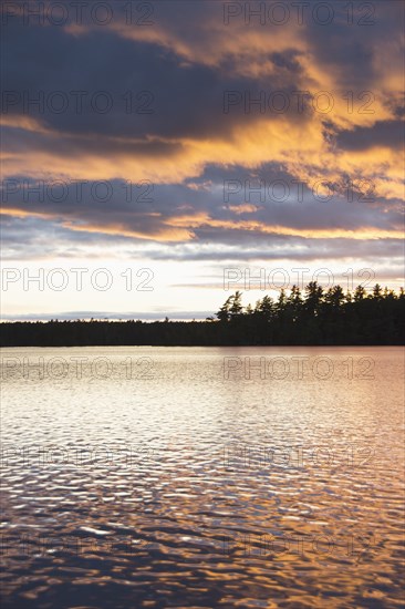 Silhouette of trees and lake at sunset