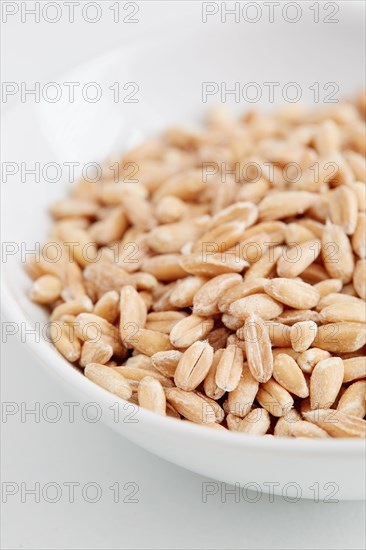Farro seeds in bowl