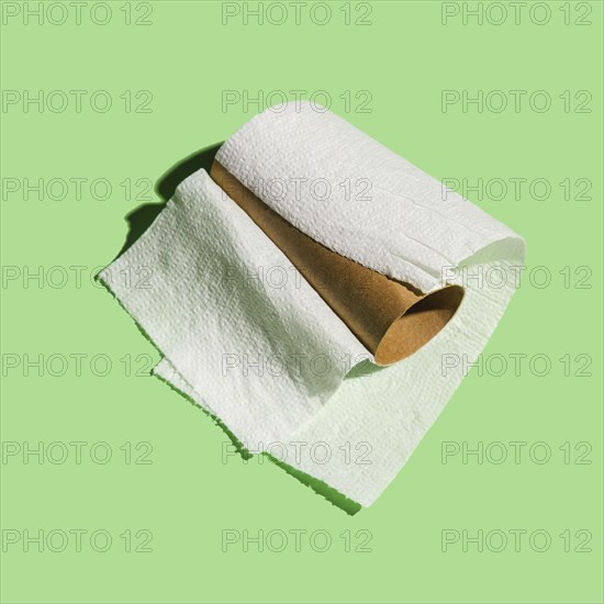 Used up roll of toilet paper on green background