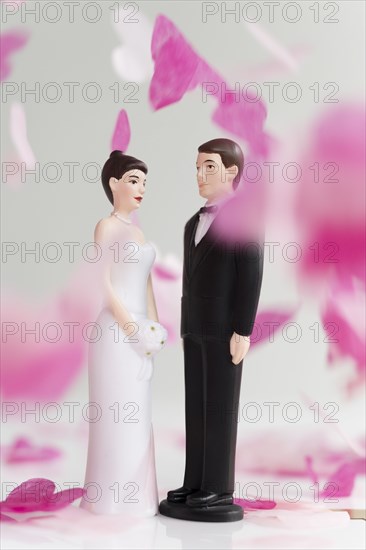 Bride and Groom cake toppers among confetti falling