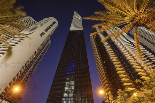 USA, Florida, Miami Beach, Low angle view of skyscrapers and palm trees