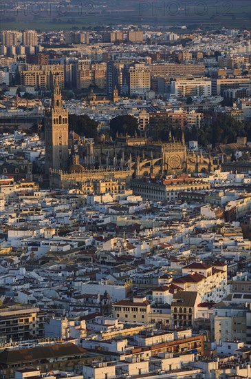 Spain, Andalusia, Seville, High angle view over cathedral and city