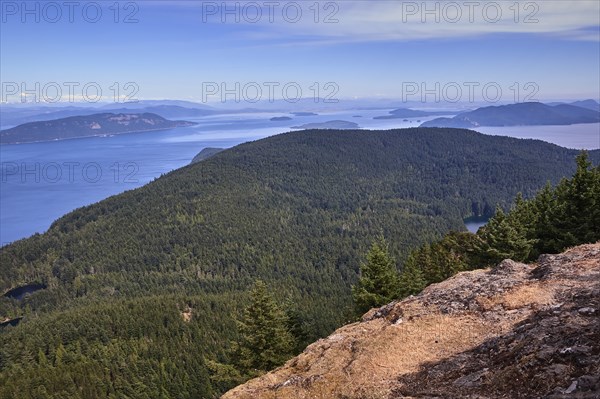 USA, Washington, San Juan County, Orcas Island, Scenic forested landscape