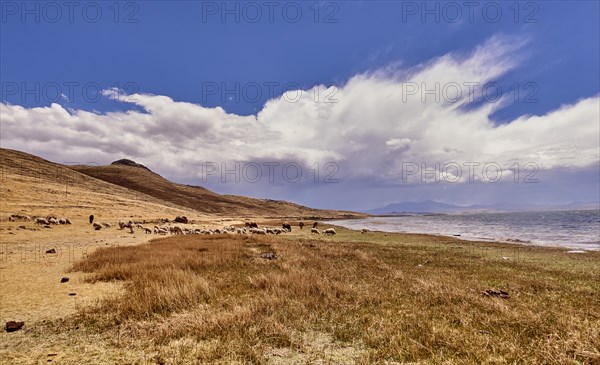 Peru, Sillustani, Scenic view of arid landscape