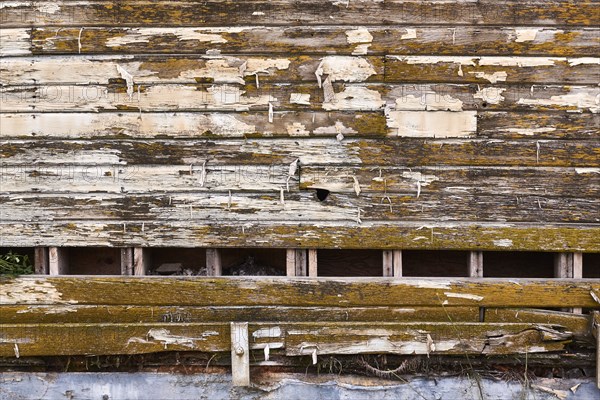 Detail of weathered wooden wall