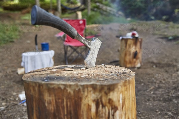 Hatchet in stump