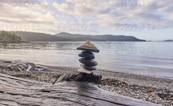 Pebbles stacked on driftwood on beach