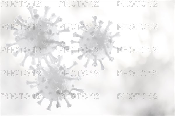 White Coronavirus models