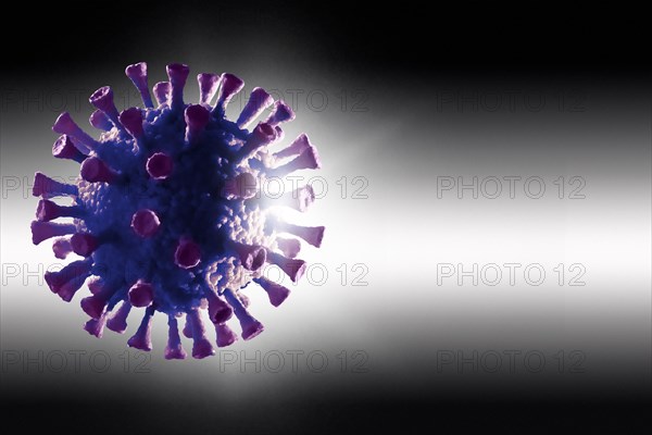 Digitally generated Coronavirus model on gray background