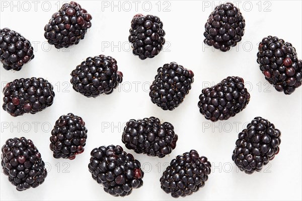 Blackberries on white background