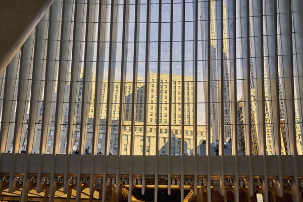 USA, New York, New York City, Modern buildings reflected in glass facade