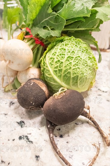 Vegetables of winter harvest