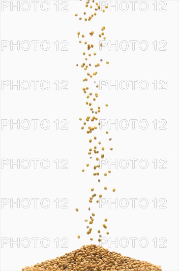 Heap of mustard seeds