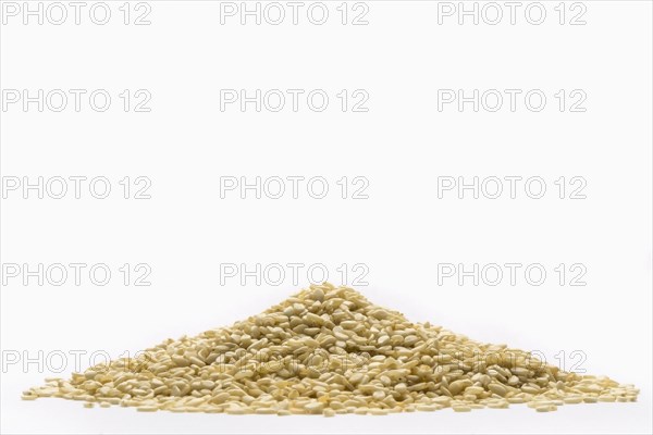 Heap of grain on white background