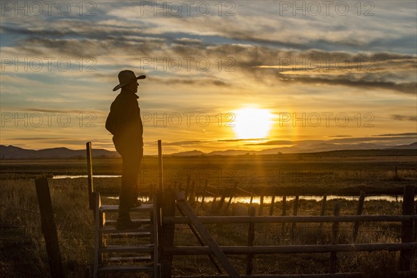 USA, Idaho, Bellevue, Cowboy standing on fence at sunset