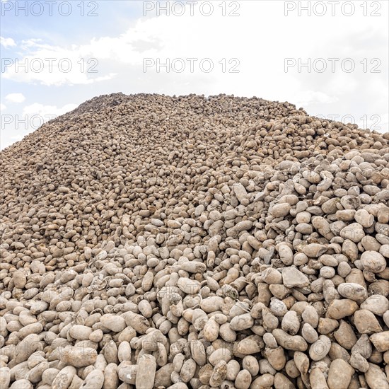 Pile of potatoes left for public by farmers during COVID-19 pandemic