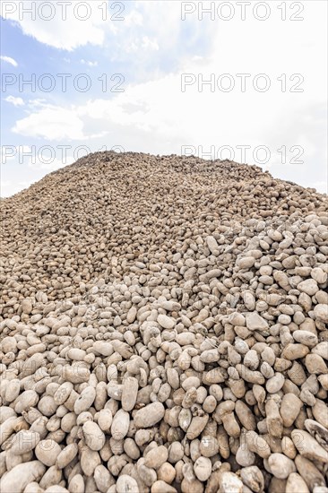 Pile of potatoes left for public by farmers during COVID-19 pandemic