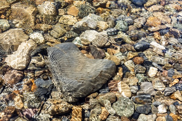 Heart shaped rock in Big Wood River