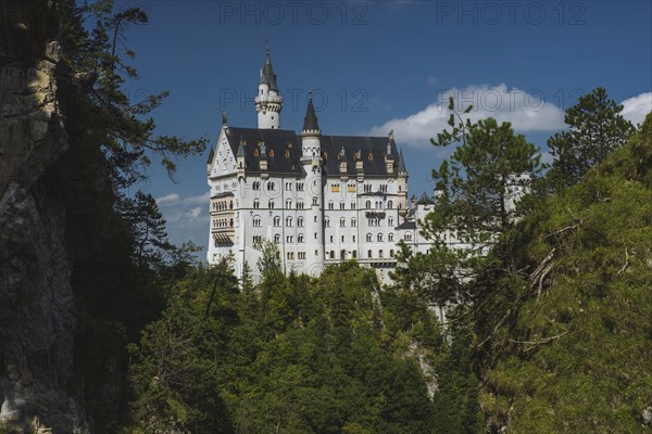 Germany, Schwangau, Neuschwanstein castle among autumn trees