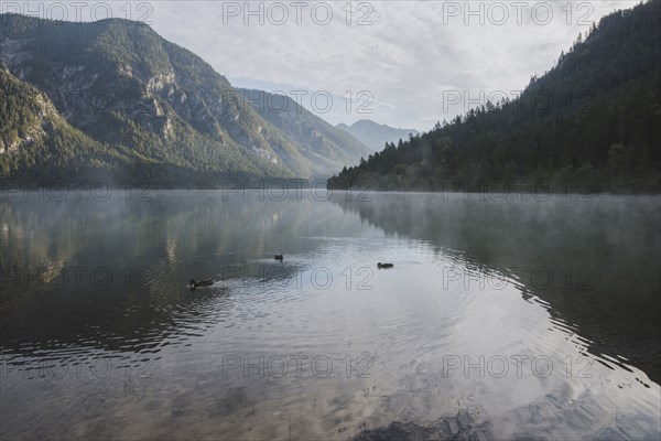 Austria, Plansee, Lake Plansee at sunrise in Austrian Alps