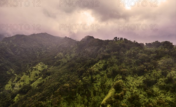 USA, Hawaii, Kauai, Na Pali, Aerial view of mountains covered with forest