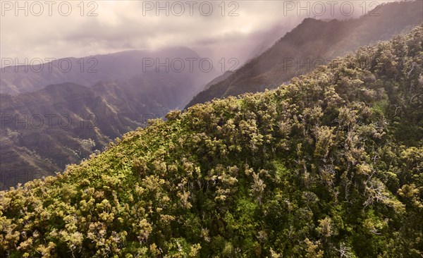 USA, Hawaii, Kauai, Na Pali, Aerial view of mountains covered with forest