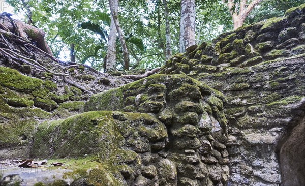 Belize, View of ancient ruins