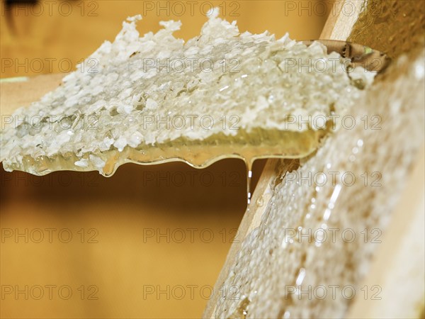 Raw honey on honeycomb