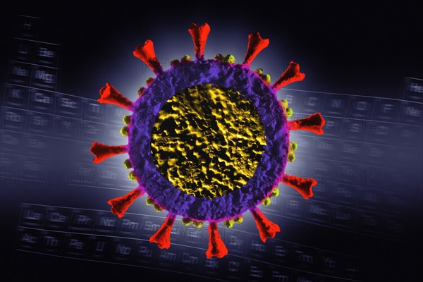 Digitally generated Coronavirus model