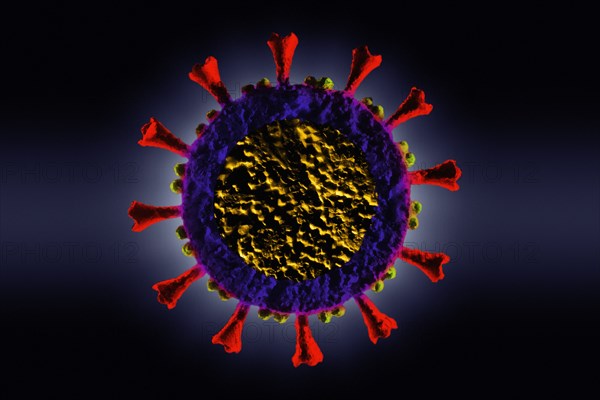 Digitally generated Coronavirus model