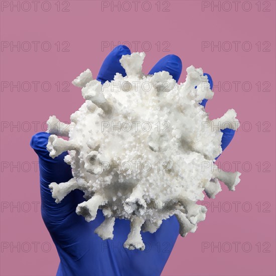 Hand in blue latex glove holding Coronavirus model